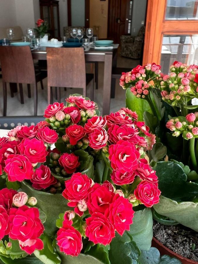 Апартаменты A Casa Di Nonna Пескара Экстерьер фото
